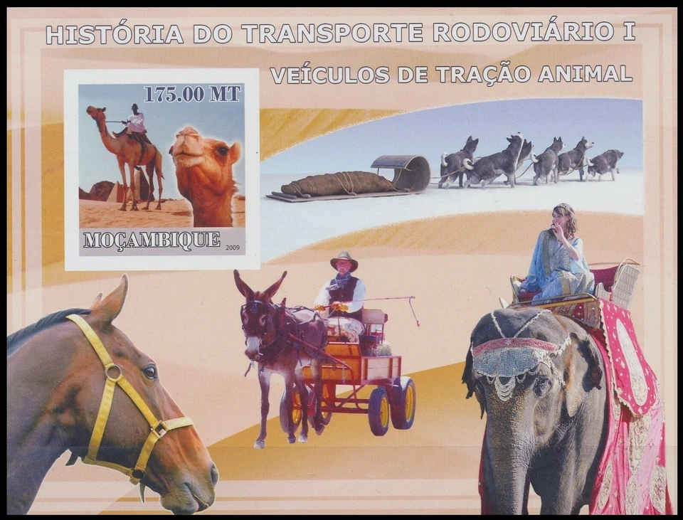 Mozambique 2009 MNH Imperf MS, Camel, Animals, History of transport   [E1] - Image 1 of 1