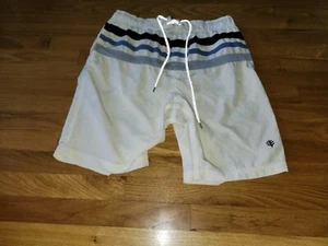 Coolibar Mens Island Swim Trunks Sz M UPF 50+ Mesh Lined Striped 10” Ivory & Blu - Picture 1 of 4