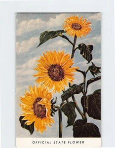 Postkarte Sonnenblume, Offizielle Staatsblume, Kansas - Bild 1 von 2
