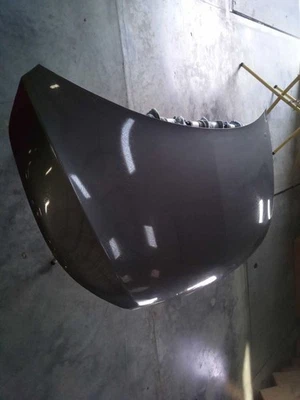 Hood 447 Type Thru 01/14/18 Fits 16-18 METRIS 466587 - Imagem 1 de 4