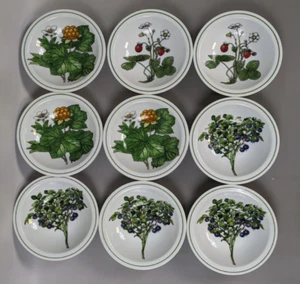 Vtg IKEA Marguerite Walfridson Cereal, Fruit Bowls Set of 9 Portugal EUC! - Picture 1 of 8