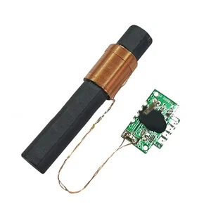 DCF Receiver Module 60x10mm 77.5KHz Circuit Board DCF-1060N-800 DCF-3850M-800 - Photo 1/31