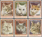 Mozambique 1979 Domestic Cats/Pets/Animals/Nature/Manx/Turkish 6v set (s3215)