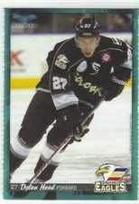 2013-14 Colorado Eagles (ECHL) Dylan Hood