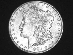 1887 Morgan Dollar --- Almost Uncirculated +++ - Looks BU ! - Picture 1 of 2