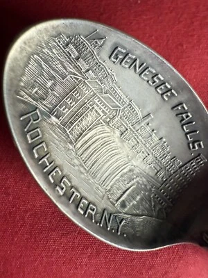 1903 年 Genesee Falls Rochester 纽约池塘百合古董 PAYE & BAKER (S505) — 第 1/4 张图片