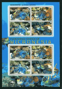 Micronesia 848, MNH, WWF, Marine Life 2009 x45076 - Picture 1 of 1