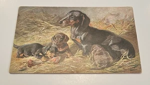 Daschund With Puppies Postcards By Artist Hermine Biederman-Arendts. - Picture 1 of 2