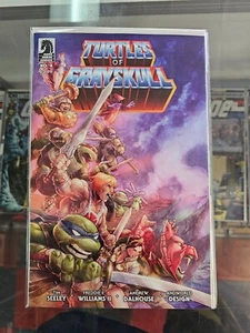 TURTLES OF GRAYSKULL 4 CVR C NM- HIGH SCORE COMICS - Picture 1 of 1