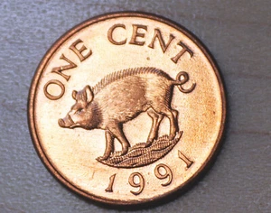 1991 Bermuda 1 Cent Wild Boar Unc. - Picture 1 of 2