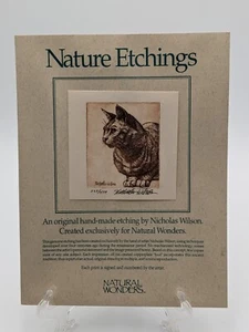 Original Katzenradierung nummeriert signiert Nicholas Wilson Kunstskizze - Bild 1 von 4