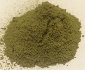 1 oz. Hamamelisblattpulver (Hamamelis virginiana) Bio & Koscher USA - Bild 1 von 1