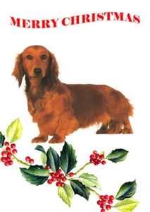 LONGHAIRED DACHSHUND SINGLE DOG PRINT GREETING CHRISTMAS CARD - Picture 1 of 1