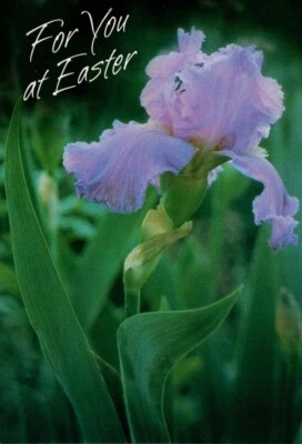 Feliz Pascua Púrpura Iris Liris Flor Flores Tema Sello Tarjetas - Juego de 3 Foto 1 de 3