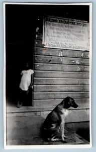 c1940's St. Nino Catholic Church Philippines Dog WWI Vintage Snapshot Photo - Bild 1 von 2