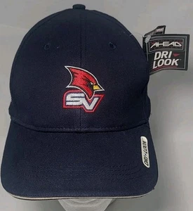 Ahead Dri Look SVSU Saginaw Valley State Univer Golf Blue Hat Adjustable ~ New - Picture 1 of 11