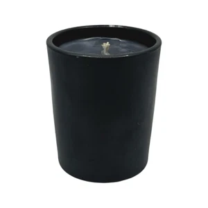 NEST New York Wilderness Charcoal Woods Scented Candle 0.95 oz / 27g Mini Earthy - Picture 1 of 4
