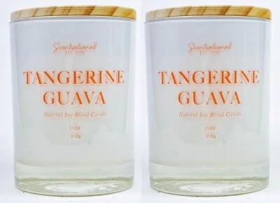 2 Scentsational TANGERINE GUAVA Natural Soy Blend Candle 11 oz Foto 1 de 2