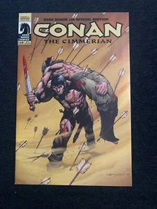Conan The Cimmerian #19 Dark Horse 100 Special Edition RARE COLOR VARIANT /1000 - Picture 1 of 4