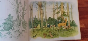 TEDDYS SCHULAUSFLUG wunderbares Bilderbuch Titania Verlag um 1970 Bärenkinder - Bild 1 von 8