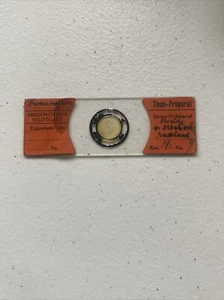 Antique Microscope Slide Eduard Thum  foramimifera  pre 1926 Kat. 16 - Picture 1 of 6