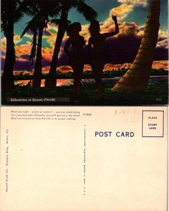 Postal de colección - Siluetas al atardecer, Florida Casi cualquier noche invierno o resumen - Imagen 1 de 1