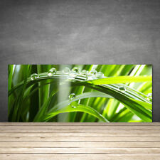 Kitchen Splashback 125x50 Tempered Glass Grass Dew Drops Floral