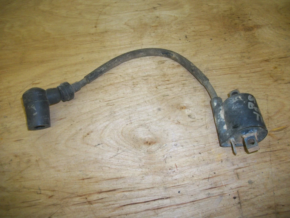 Yamaha YFM250 YFM 250 2001 01 Bear Tracker bobina de encendido Foto 1 de 1