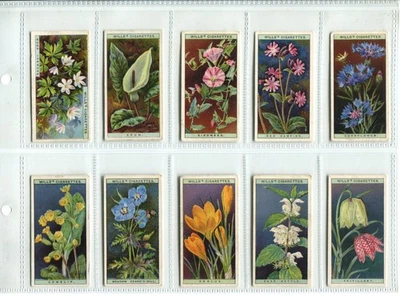 Wild Flowers "A" Series 1936 Wills Cigarette Cards - Full Set of 50 Cards - Image 1 of 4