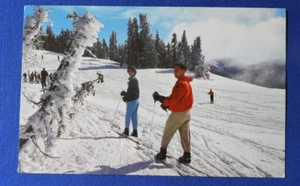 Postcard Winter Scene at Hurricane Ridge, Olympic National Park WA skiers J29 - Picture 1 of 2