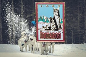 Prendedor de solapa Iditarod 1993 trineo para perros carrera recuerdo Alaska trineo perro huskie - Imagen 1 de 5