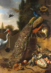 Melchior de Hondecoeter : "Peacocks" (1683) — Giclee Fine Art Print - Picture 1 of 7