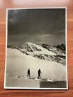4 Fotos |  Nationalpark Stilfserjoch | Monte Cevedale -  1927!