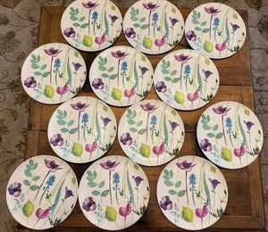 Portmeirion Water Garden Outdoor Dinner Plates - Set of 12 - Picture 1 of 4