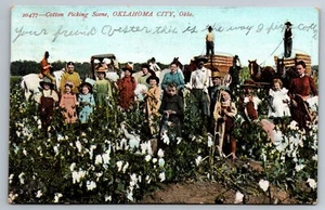 Familien pflücken Baumwolle Oklahoma City OK Männer Frauen Kinder 1908 Postkarte N511 - Bild 1 von 2