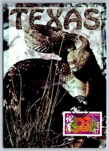 3895f Chinese Lunar New Year Snake FDC Maxi Card - Picture 1 of 2