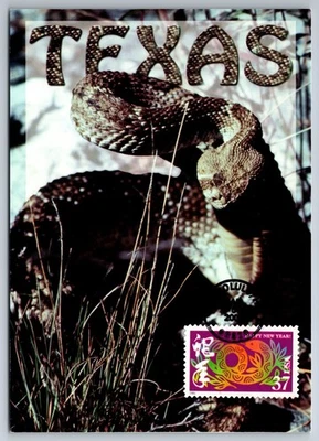3895f Chinese Lunar New Year Snake FDC Maxi Card - Image 1 of 2