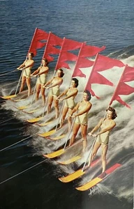 Postcard Aquamaids Cypress Gardens Florida "Beauty On Parade" - Picture 1 of 2