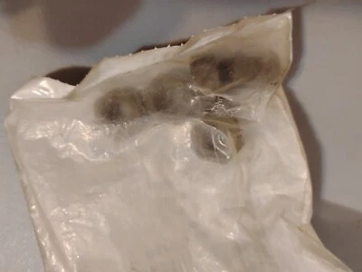 Nuevas tuercas de barra de motosierra Homelite genuinas (5) 810892 Foto 1 de 2