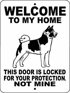 CAUTION AKITA MAY LICK YOU TO DEATH Home Window/Door Dog Breed Sign/Sticker