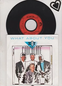 Hot Chocolate - What About You *7" Single*Polydor - 871 764-7 mit Promo Info - Bild 1 von 2