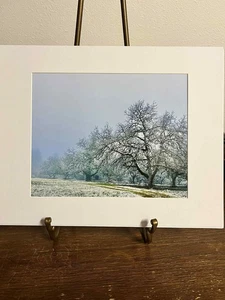 Rising Thru The Mist Newberg Oregon mattiert 8x10 Foto Winter Obstgarten Nebel signiert  - Bild 1 von 3