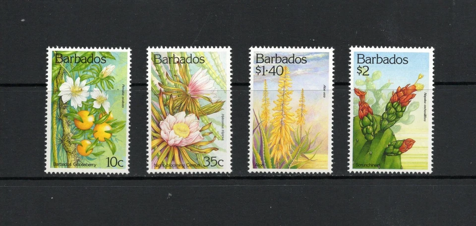 S8640 Barbados 1993 flora flores cactus 4v.   MNH Foto 1 de 1