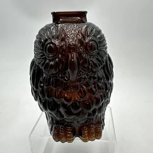 Vntg 1970 EMBOSSED Glass Smokey Brown Color WISE OLD OWL Coin Bank 6"H VGUC - Picture 1 of 16