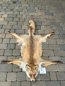 Fox skin with a stuffed head, tanned skin, fur, trophy, taxidermy, carpet, - Zdjęcie 1 z 4