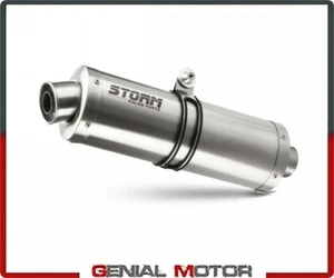 Exhaust Storm by Mivv Muffler Oval Steel for Bmw R 1200 Gs 2008 > 2009 - Picture 1 of 3