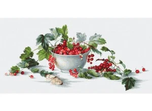 Red Currants B2260L Luca-S Counted Cross-Stitch Kit - Picture 1 of 3