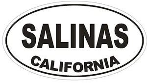 Salinas California Oval Stoßstange Aufkleber oder Helm Aufkleber D2814 Euro Oval - Bild 1 von 1