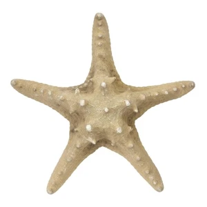 5 Knobby Starfish 8-10" (Set of 5) - Picture 1 of 4