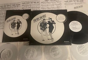 promo box Liza Minnelli NEW YORK NEW YORK movie LP + four 45's music bk PR etc - Picture 1 of 10